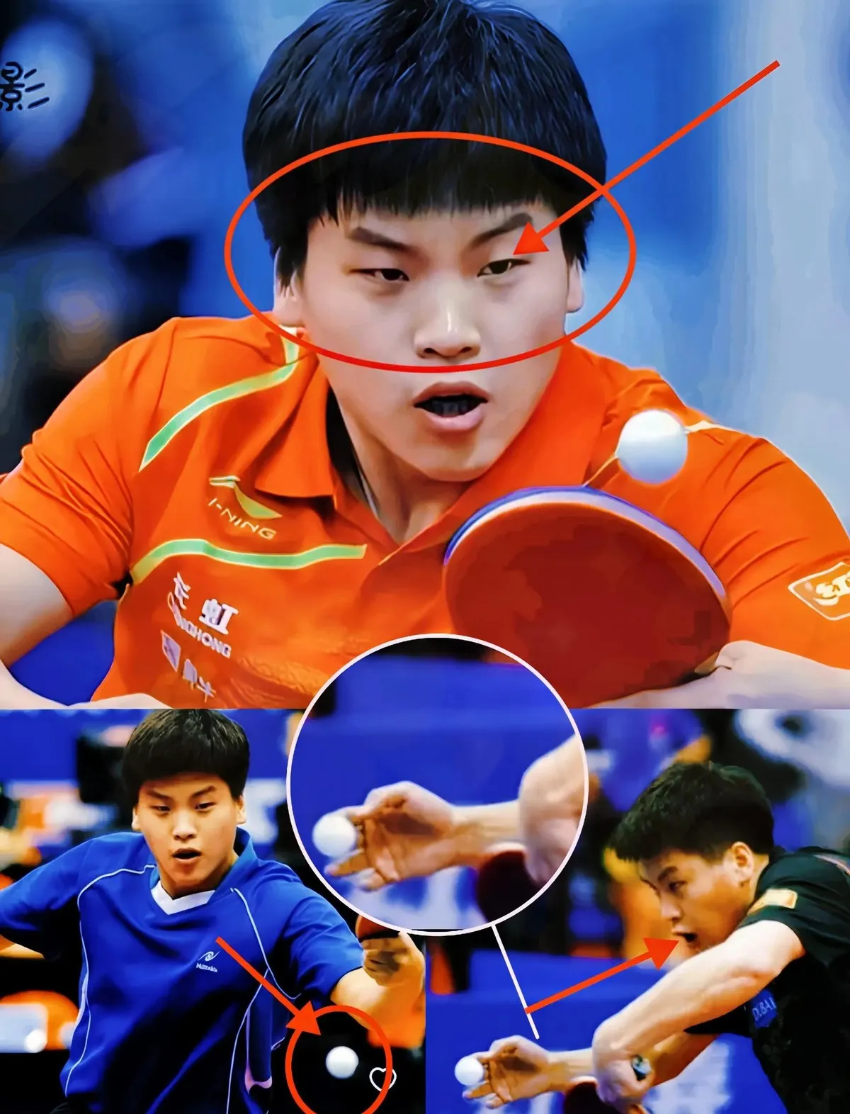 比利时乒乓球队完胜日本乒乓球队，张继科爆发神勇