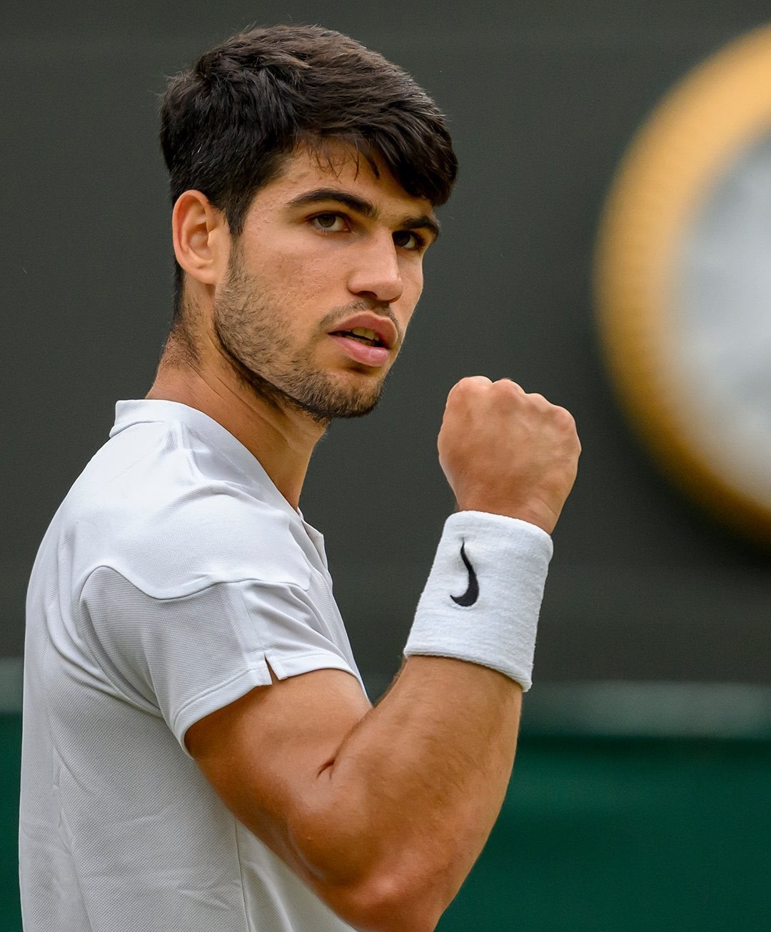 戴维斯杯逆转温网，梅德韦杰夫刷新纪录的简单介绍