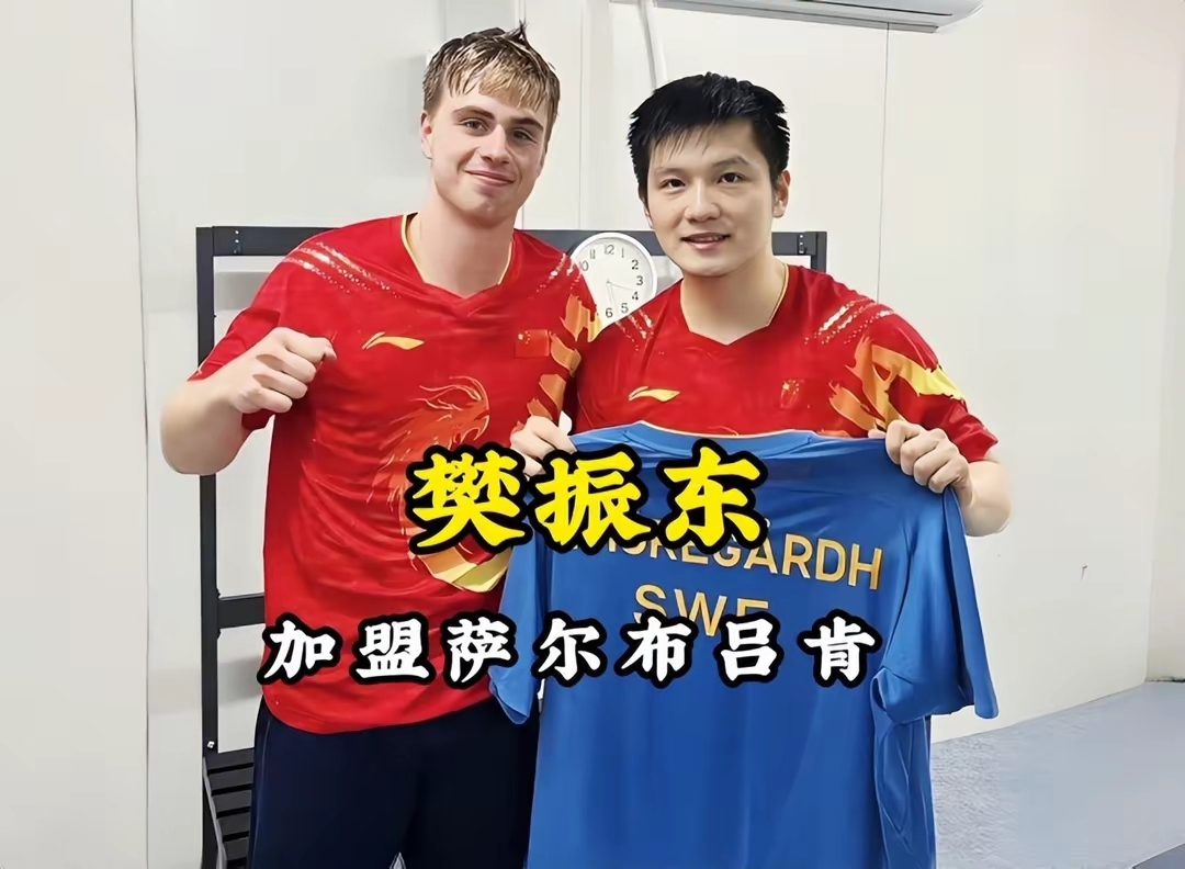 爱游戏下载-德国队横扫奥地利队，樊振东关键制胜