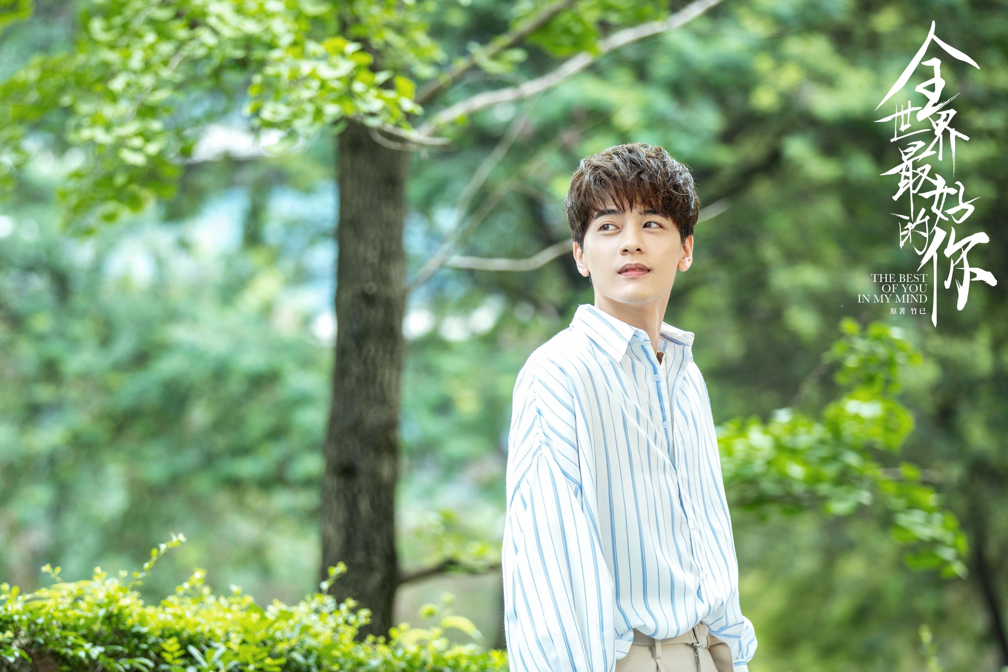 孤勇者的王冠与阴影，当郑思维的火热，照见羽球场上的胜负辩证法