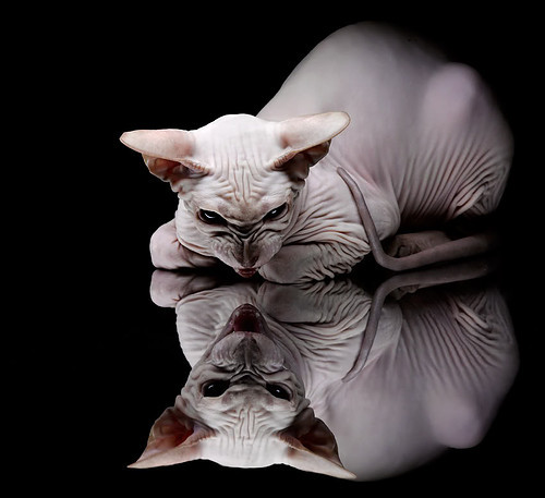 从法拉盛滑铁卢到都灵涅槃，鲁德如何完成年度最惊艳逆袭