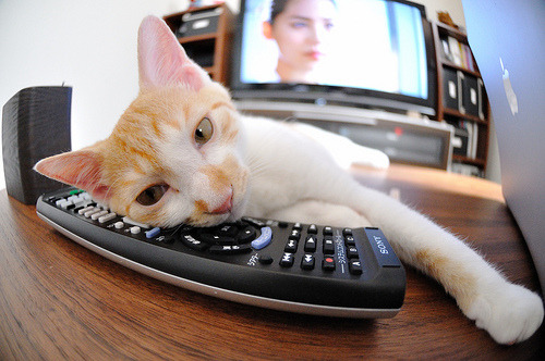 当深圳猎人射落亚特兰大之鹰,多诺万·米切尔的跨洋启示录