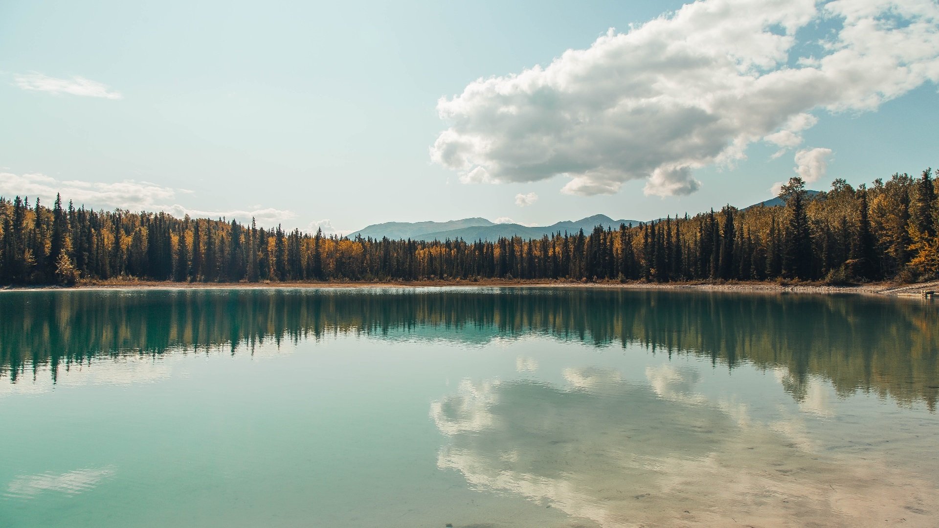 双线争锋，森林狼强势碾压鹈鹕，马克西在英超争冠战中接管比赛