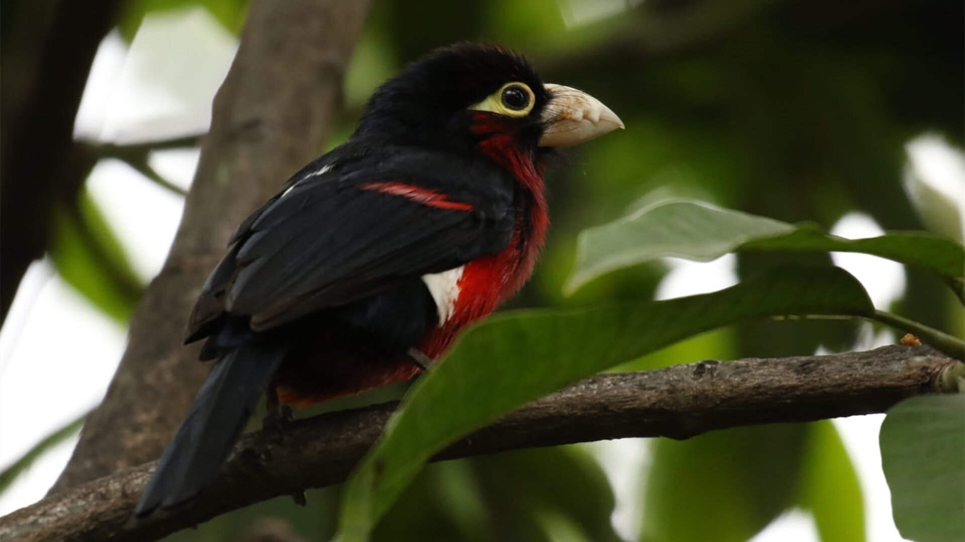 爱游戏在线-世界排名争夺战之夜，伦纳德封神之时与一段等待被打破的静默