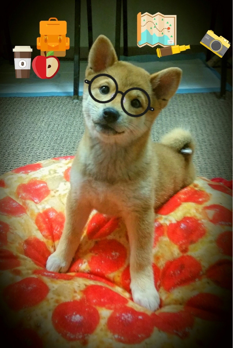 爱游戏官方入口-风暴之眼，武切维奇在决胜夜的攻防艺术