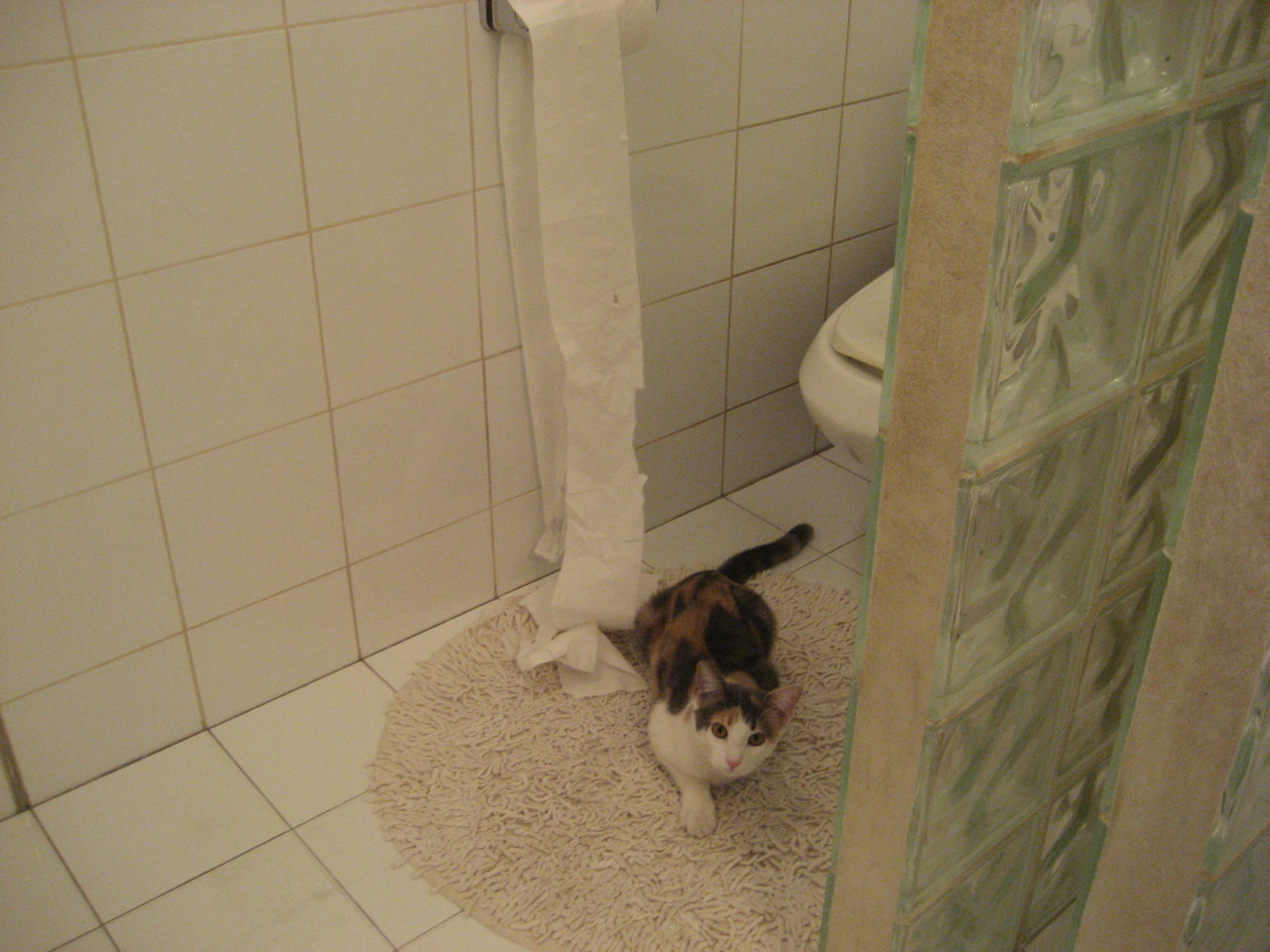 爱游戏官方-双星闪耀夜，福克斯刷新纪录，森林狼奇迹翻盘