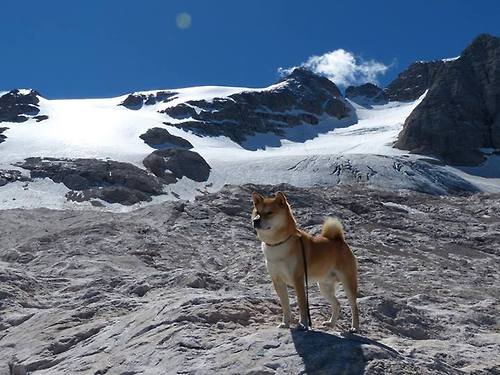 欧冠半决赛之夜，当舞台放大时，卡马文加从学徒走向大师