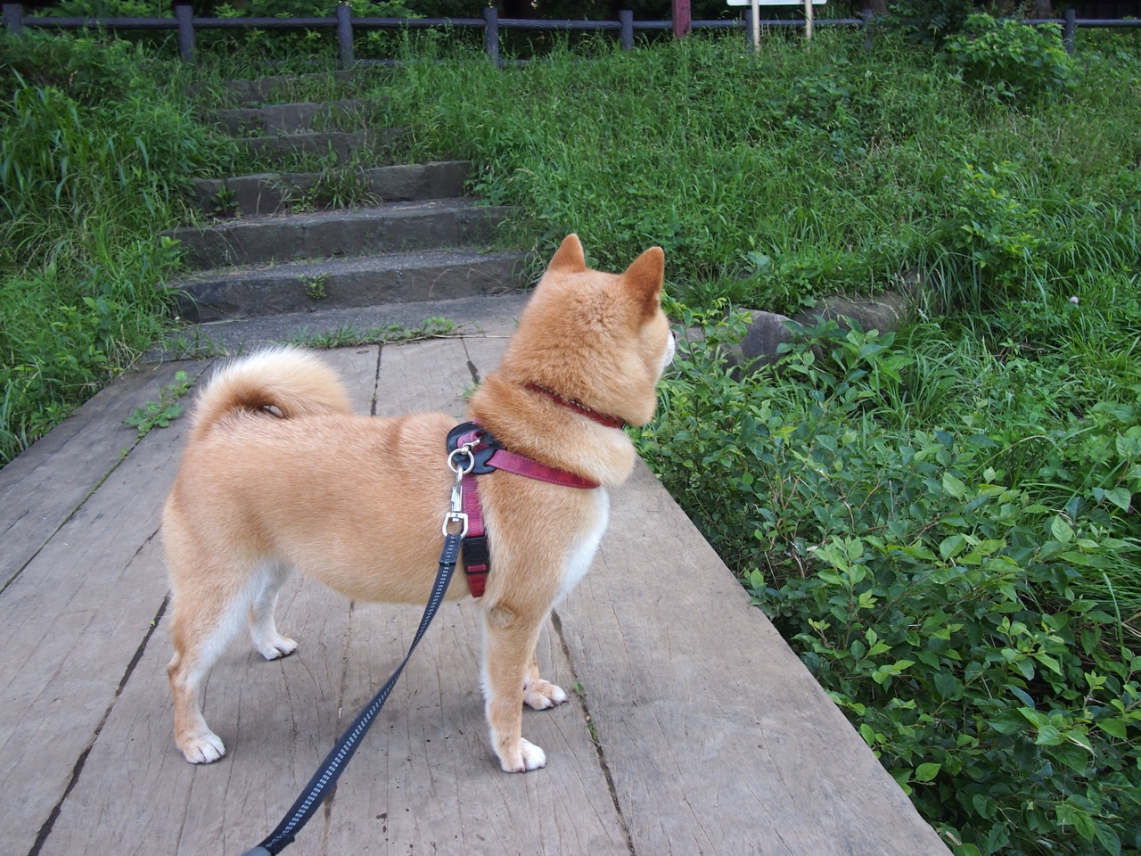 从澳洲到伊斯坦布尔，一场地理隔离式的英超防守教学
