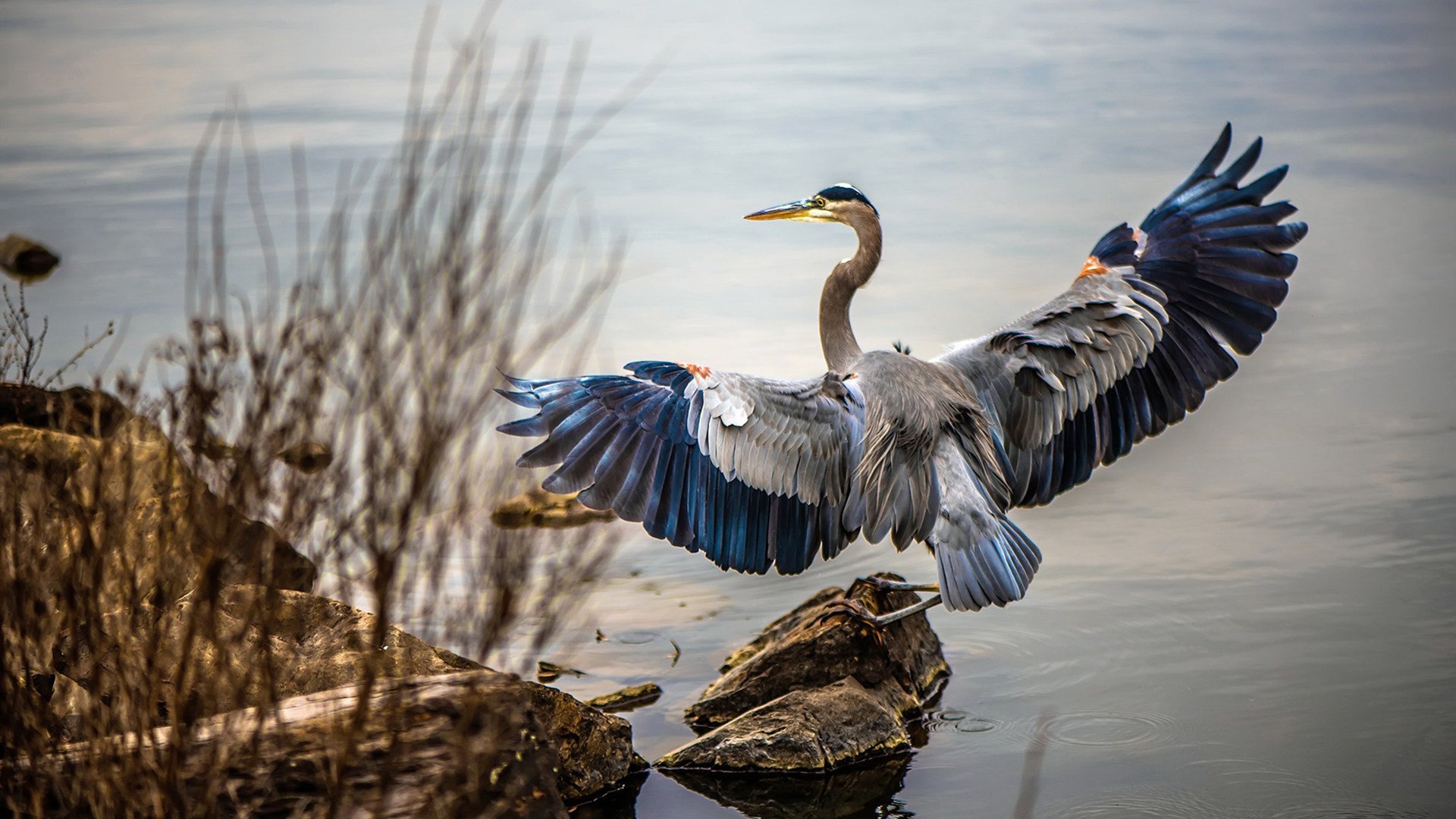 库尔图瓦临危受命，瑞典队友谊赛力克佛罗伦萨创奇迹