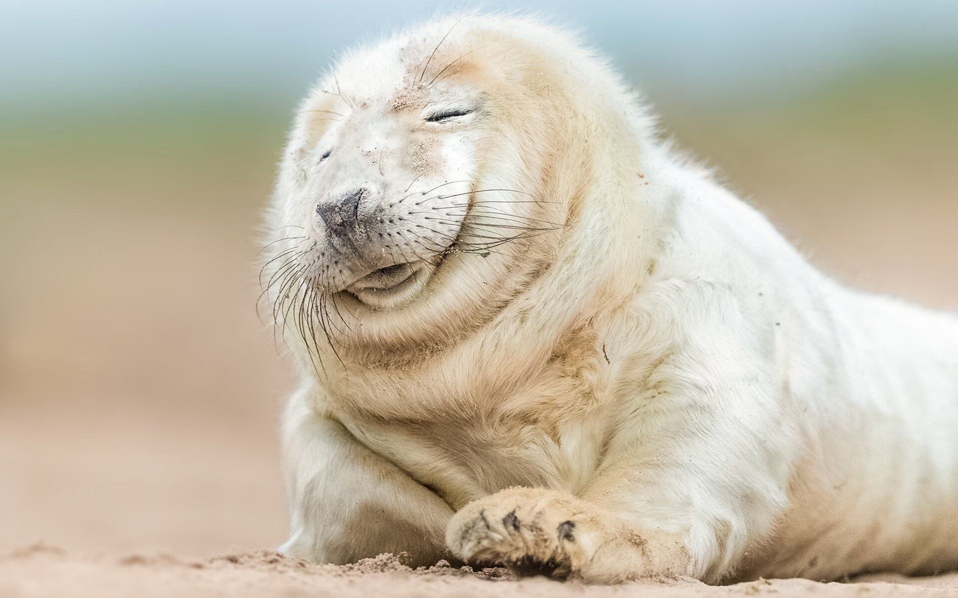 北欧风暴席卷加勒比，京多安的收割艺术与一场定义唯一性的胜利