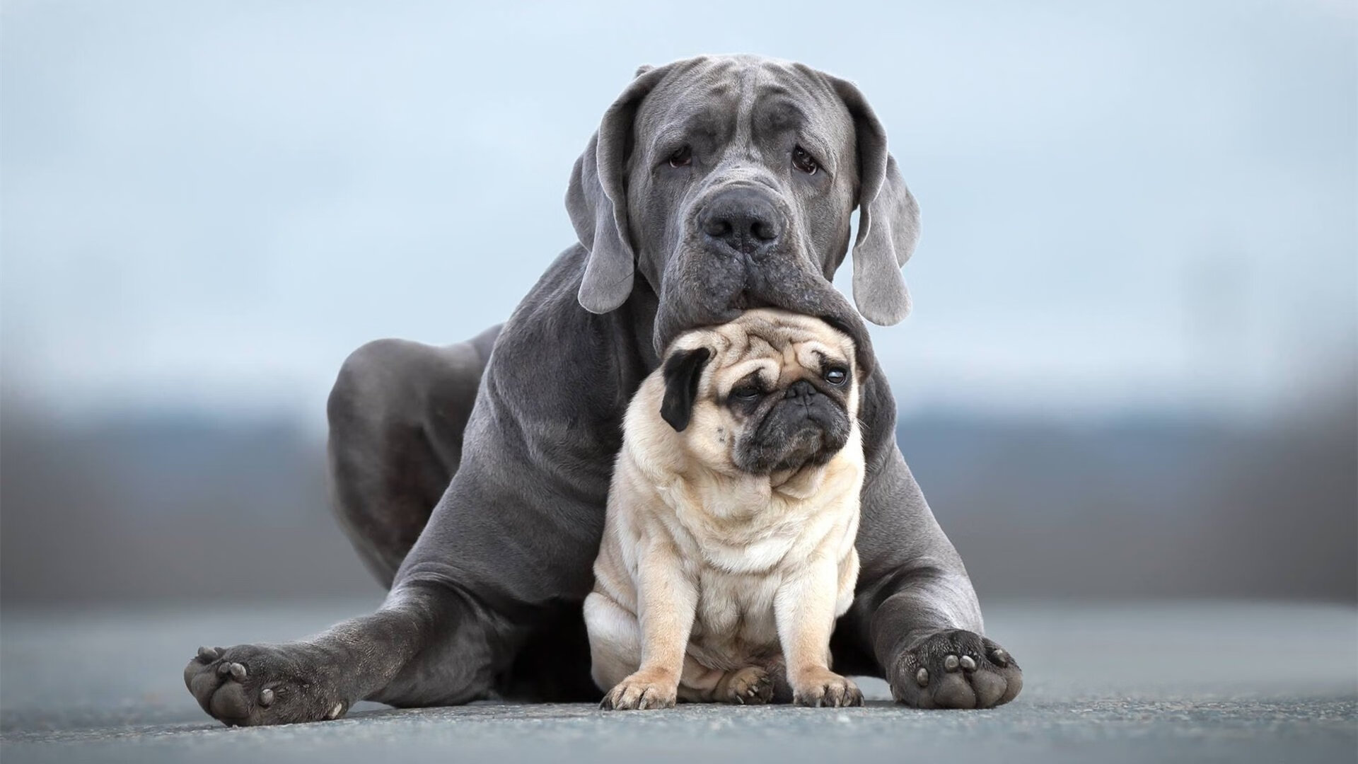 纪录之镰与冠军天平，伊萨克轰鸣之夜如何切割德甲争冠迷雾