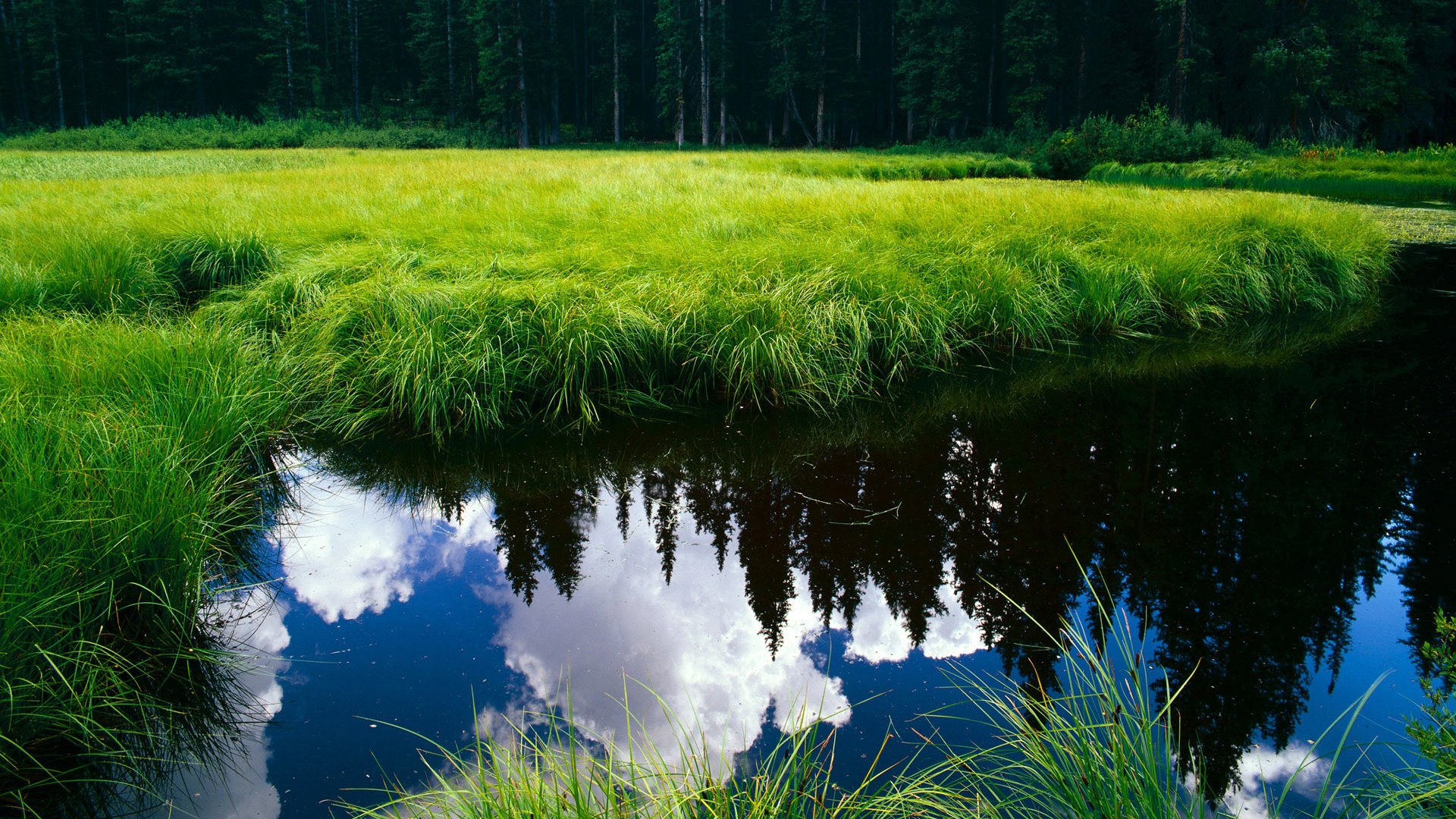 爱游戏tv-格纳布里存在感拉满，个人英雄主义与巴萨式体系压制的双重奏鸣