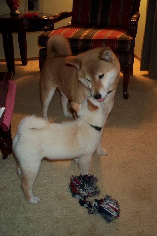 当基米希身兼三职，一场非典型统治如何撕裂乌拉圭与瑞典的战术铁幕