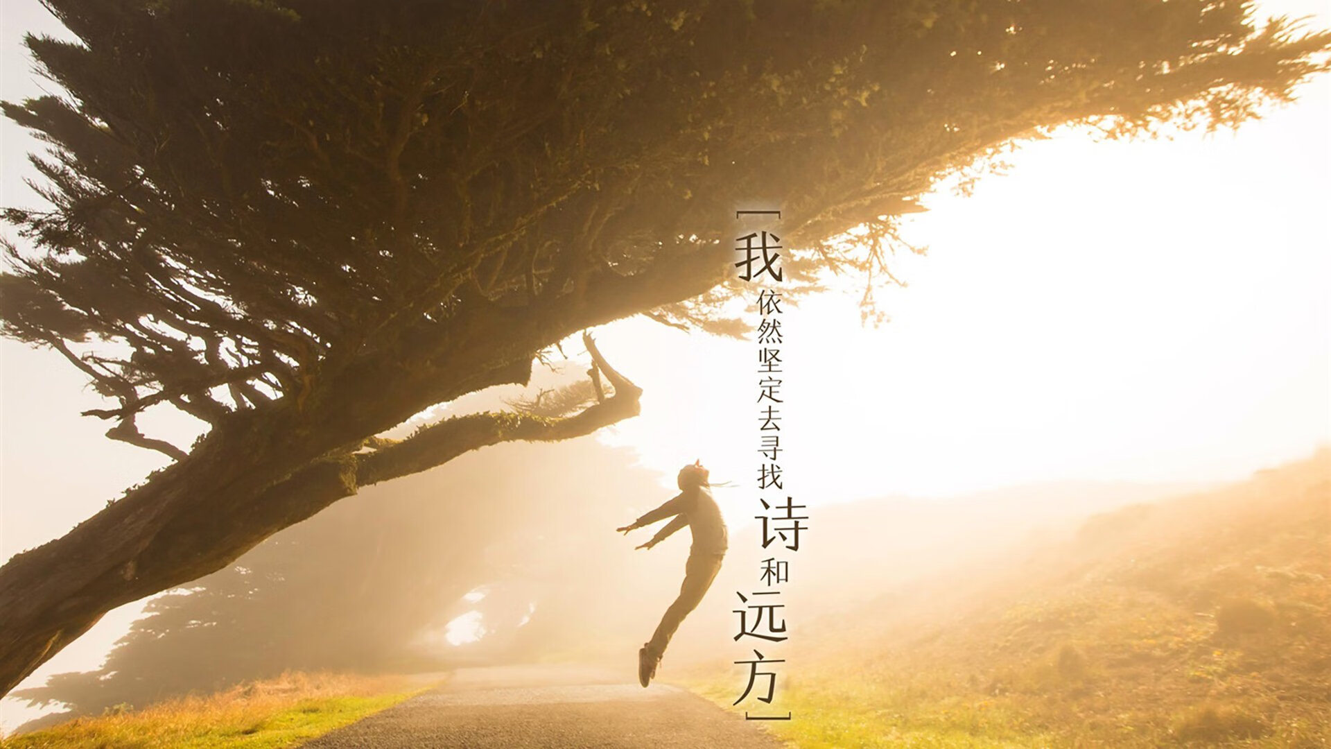 爱游戏APP-平行时空的交错，当萨拉赫助攻曼联，谱写欧冠最离奇翻盘序章