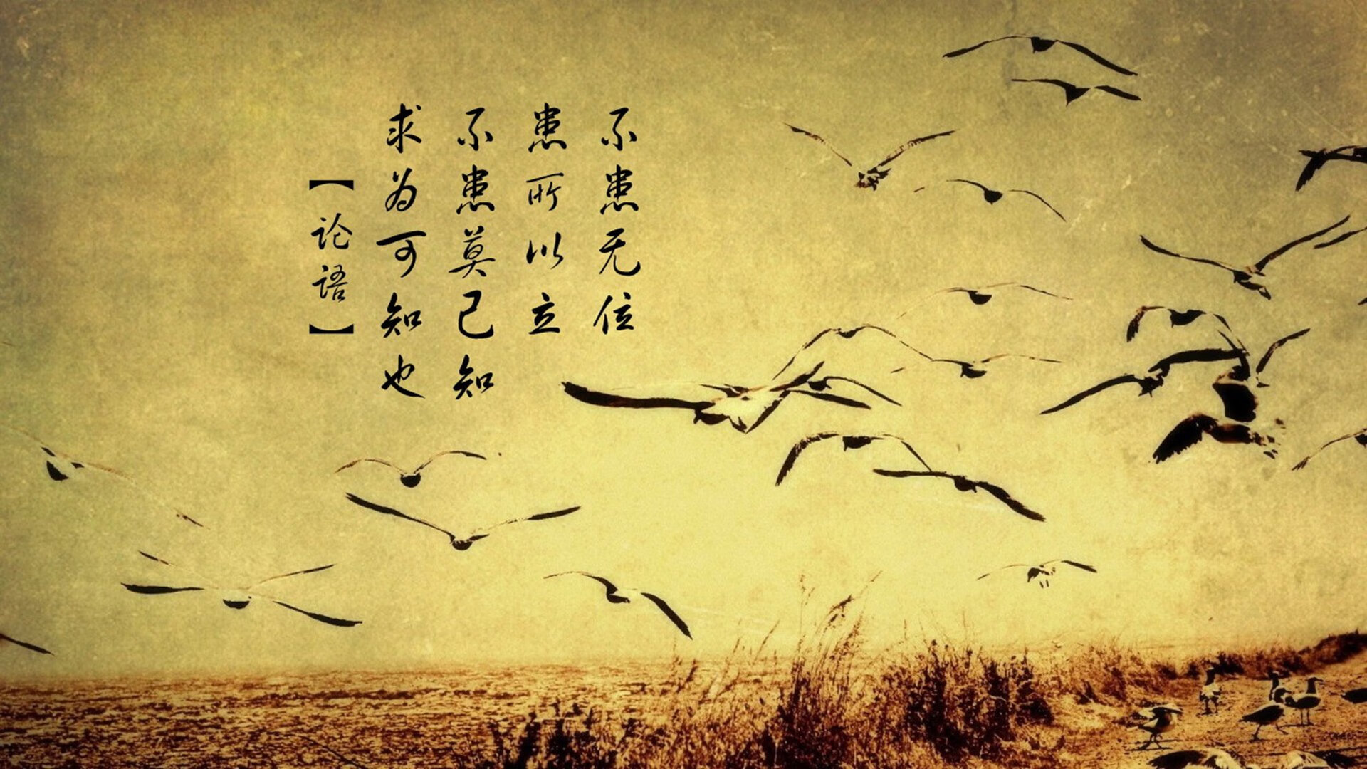 新王立传,贝林厄姆孤掌难鸣,美国绝杀英格兰改写G组史诗